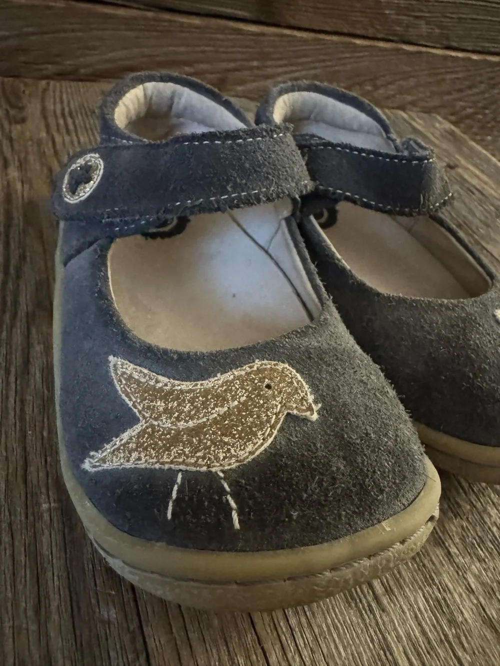 Livie & Luca Kids Navy Mary Jane Shoes with Gold Glitter Bird